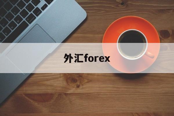 外汇forex(外汇forex是什么意思)